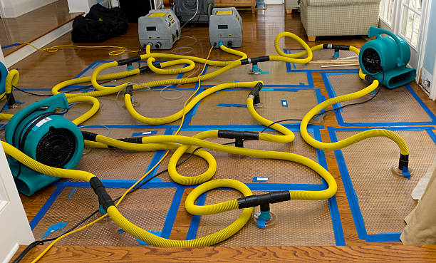 Professional Basement Flood Cleanup technician working in Carbon Hill, OH